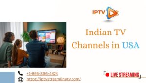 Indian TV Channels in USA