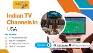 Indian TV Channels in USA