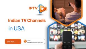 Indian TV Channels in USA
